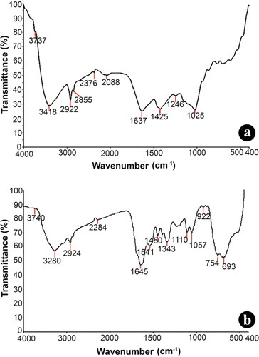 Figure 1. FT-IR spectral analysis of (a) aqueous rhizome extract of G. superba and (b) biosynthesised nanotitania catalysts using G. superba rhizome extract.