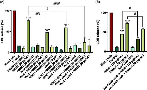 Figure 10. Autophagic cell death is dose-dependent. (A) Macrophage-like THP-1 cells were exposed to NM400, NM401, or NM402 at 50 μg/mL for 24 h in the presence or absence of the autophagy inhibitor, wortmannin, or the caspase inhibitor, zVAD-fmk, or both. Cell death was determined using the LDH release assay. (B) THP-1 cells were exposed to NM401 (25 or 50 µg/mL) and the impact of YVAD-cmk on cell death was determined. Data are mean values ± S.D. (n = 3). ***p < 0.005, ****p < 0.001, #p < 0.05, ####p < 0.001. Refer to Figure S6 for results on autophagy in RAW-Difluo™ mLC3 cells.