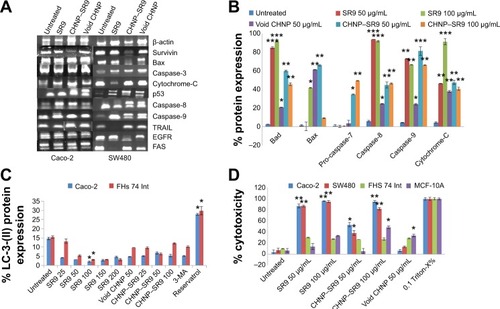 Figure 5 Expression of key anti-apoptotic and pro-apoptotic markers with CHNP–SR9.Notes: (A) The quantitative real time PCR was used in order to study the gene expression for various pro-apoptotic and anti-apoptotic genes in both Caco-2 and SW480 cells after 6 hours of treatment. (B) The FACS analysis confirmed that SR9 treatments induced expression of pro-apoptotic molecules. (C) The LC-3(II) protein expression using flow cytometry revealed that both SR9 and CHNP–SR9 did not induce any autophagy in Caco-2 or FHS 74 Int cells at 24 hours. (D) LDH release assay confirmed that both SR9 and CHNP–SR9 showed significant cytotoxicity in cancer cells (Caco-2 and SW480), whereas no significant cytotoxicity was observed in non-cancerous cells (FHS and MCF-10A) at 24 hours. *P<0.05, **P≤0.01; and ***P≤0.001.Abbreviations: PCR, polymerase chain reaction; FACS, ; SR9, cell-permeable dominant negative survivin SurR9-C84A; min, minutes; h, hours; DAPI, 4′,6-diamidino-2-phenylindole; LC-3(II), light chain protein 3(II); LDH, lactate dehydrogenase; CHNP, chitosan nanoparticles; EGFR, epidermal growth factor receptor; N3-MA, 3-methyl adenosine; MCF-10A, human mammary epithelial cells.