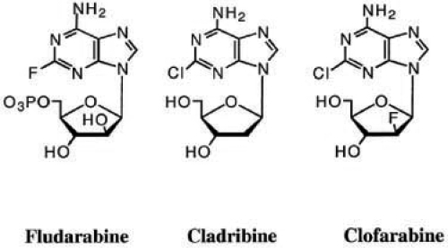 Figure 1 Structures of clofarabine and other nucleoside analogs. Derived from CitationJeha et al (2004).