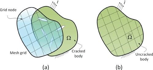 Figure 4. Crack identification algorithm: (a) a mesh grid is assigned to the cracked body Ω, and the responses are measured at the grid nodes. (b) a finite element model is constructed with the same geometry, mesh grid, loading, and boundary conditions but without the cracks (uncracked body Ω~).