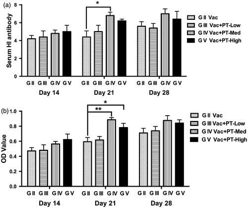 Figure 3. Changes in serum antibody response against NDV in chickens. Blood were collected from each group on Day 14, 21 and 28, respectively. Serum samples were then analysed for antibody responses using HI test (a) and ELISA assay (b). Results are expressed as means and SEM (n = 6/group; *p < .05; **p < .01). NDV: Newcastle disease virus; OD: optical density.