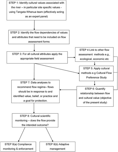 Figure 1. A process for developing a Cultural Flow Preference Study and utilising this process to inform flow management decisions (adapted from Tipa and Nelson Citation2008; Tipa and Severne Citation2010). The focus of the present study is on Step 6.