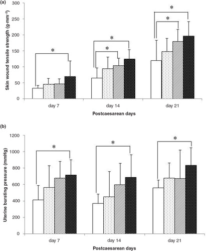 Fig. 1 (a) Skin wound tensile strength measured on day 7, 14 and 21 from vehicle and MCP-treated rats. (b) Uterine bursting pressure measured on day 7, 14 and 21 from vehicle and MCP-treated rats. MCPs, marine collagen peptides. Values are presented as mean±SD, n=8 for each group. *Significant difference at P<0.05.