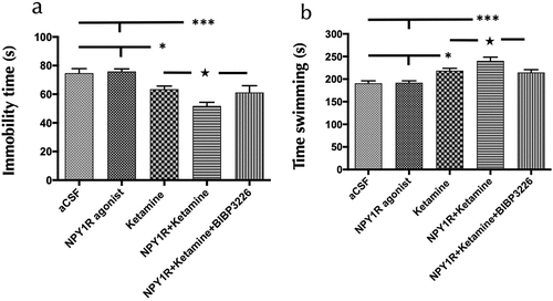 Figure 1. Antidepressant-like actions of NPY1R agonist and ketamine co-administration in the forced swimming test (FST).