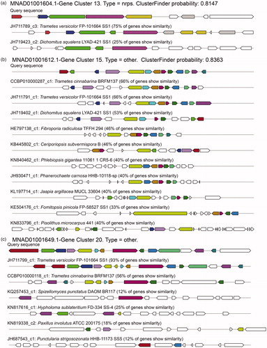 Figure 5. Probability and homologous gene clusters for three putative BGCs of T. pubescens. The probability and homologous gene clusters for the putative BGCs of (a) no. 13; (b) no. 15; (c) no. 20. In the subgraph, the same colors of the boxes with arrows are similar genes.