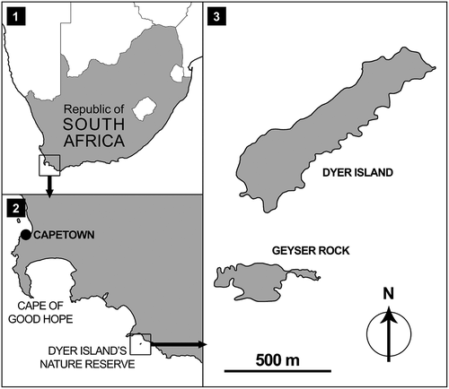 Figure 1. Gansbaai, Dyer Island, and Geyser Rock Nature Reserve