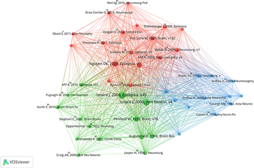 Figure 6 Network visualization of co-cited references. The larger the node, the more citations. The node connecting lines show the association potency of various references referenced in the same article. The node colours represent different categories.