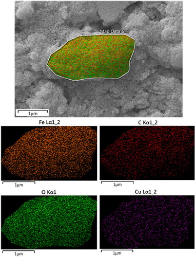 Figure 4. SEM image of Fe3O4@starch/Cu with its elemental mapping.