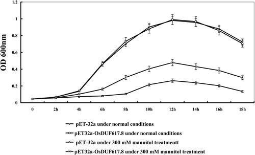 Figure 4. Growth of E. coli recombinants overexpressing OsDUF617.8 under osmotic stress.Note: The OD values of pET-32a and pET32a-OsDUF617.8 was measured at 0, 2 h, 4 h, 6 h, 8 h, 10 h, 12 h, 14 h, 16 h and 18 h under normal conditions and 300 mmol/L mannitol treatment.