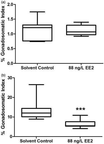Figure 1. Effects of exposure to 88 ng/L EE2 on in vivo male (A), and female (B) percentage gonadosomatic index (%GSI). EE2: 17α-ethynylestradiol; ***significant difference at p ≤ 0.001.