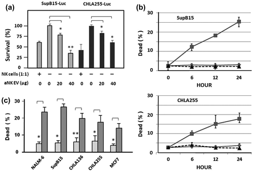 Figure 4. Cytotoxicity of isolated aNK extracellular vesicles. Luciferase assay. EVs were isolated from 48 h conditioned medium of aNK cells as in Figure 1. ALL SupB15-fLuc cells (104 cells) or neuroblastoma CHLA255-fLuc cells (104 cells) were incubated in 96-well plates with aNK cells (104 cells; effector:target cell ratio 1:1) (columns 1 and 5) as the positive control, or different amounts of purified exosomes as indicated. After 6 h incubation, the luciferase substrate Beetle Luciferin (Promega, E1605) was added, and bioluminescence was quantified. Untreated samples were designated as 100% survival for CHLA255-fLuc or SupB15-fLuc (lanes 2 or 6, respectively) and results were expressed as per cent survival. fLuc: firefly luciferase labelled cells. *p < 0.05, **p < 0.01 (a) Acridine orange/propidium iodide fluorescence assay: 104 cells (SupB15 or CHLA-255) from log phase cell culture were transferred to 96-well dark plates in the presence (∎, solid line) or absence (△, dotted line) of EVs (40 μg) in a final volume of 100 μl. Similarly, 40 μg EVs isolated from neuroblastoma CHLA-255 cells was used as the negative control (⋄, solid line). The suspensions were incubated at 37°C, and the percentage of dead cells was calculated by the LUNA cell counter at various times (0, 6, 12, 24 h). (b) The acridine orange/propidium iodide fluorescence assay was performed using different cancer cell lines, as indicated. The percentage of dead cells, without (light box) or with EVs (40 µg) (grey box), was determined by the LUNA cell counter at 24 h. The error bars on the graphs are generated by the Excel software based on 4–8 readings in each test. *p < 0.05, **p < 0.01.