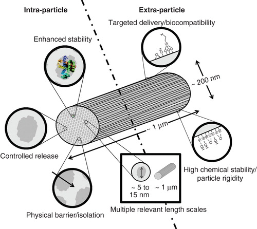 Figure 2. Intra- and extra-particle aspects of SBA-15. Design aspects of SBA-15 are illustrated, highlighting their possible application to address intra- and extra-particle challenges.