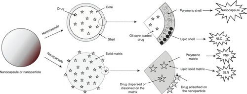 Figure 1 Schematic differences between nanocapsule, nanostructured lipid carrier (NLC), polymeric nanoparticle (PNP), and solid lipid nanoparticle (SLN) drug delivery systems.