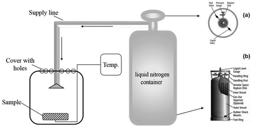 Figure 1. Schematic diagram of the liquid nitrogen self-made chamber used in this work: (a) is the top view and (b) is the side view of typical cryogenic liquid cylinder.Figura 1. Diagrama esquemático de la cámara de nitrógeno líquido autoconstruida, utilizada en este estudio. (A) corresponde a la vista superior y (B) a la vista lateral del cilindro típico de criogénico líquido.