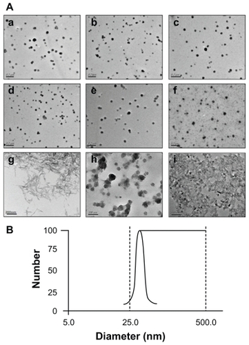 Figure 2 (A) Transmission electron microscopy images. Panels a–f show CP-pDNA nanoparticles made with calcium phosphate/plasmid DNA ratios equal to 0.1:1 (a), 0.5:1 (b), 1:1 (c), 2:1 (d), 5:1 (e), and 10:1 (f); panel g shows needle-like calcium phosphate particles. Panels h and i show the standard calcium phosphate transfection agent. Panel h shows quiescence at 0.5 hours; panel i shows quiescence at 8 hours. (B) Particle size distribution of CP-pDNA nanoparticles made with a calcium phosphate/plasmid DNA ratio of 2:1.Abbreviations: CP, calcium phosphate; pDNA, plasmid DNA.
