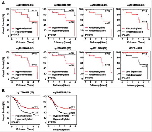 Figure 6. Association of NT5E methylation and CD73 mRNA expression with survival. Kaplan-Meier survival analyses of patients with HPV-positive (A) and –negative (B) tumors stratified according to CD73 mRNA expression and NT5E methylation determined at various sites within the gene. Median methylation and mRNA expression was used as cut-off for classifying tumors as hypo- and hyper methylated, or high and low expressing, respectively. Shown are only significant results.