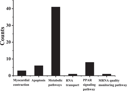 Figure 4. Analysis results of KEGG pathway.