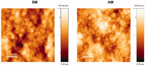 Figure 1. AFM topographical images of SM and AM samples