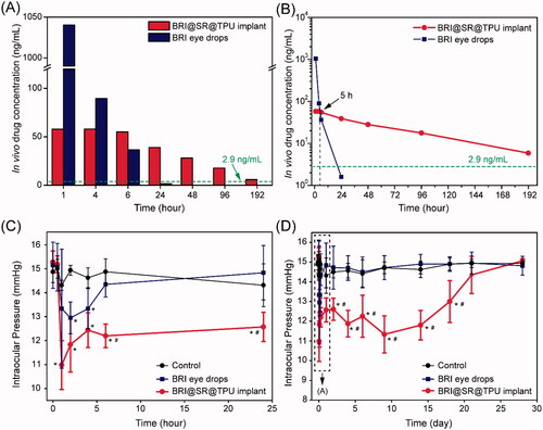 Figure 6. The histograms (A) and downtrend curves (B) of the in vivo brimonidine (BRI) concentration in the aqueous humor after administration of the BRI@SR@TPU implants or BRI eye drops. In order to improve detection accuracy, four aqueous humor samples were combined, and then dried by lyophilization. All samples were dissolved again by 50% methanol before detection by HPLC–MS. Short-term (C) and long-term (D) IOP-lowering profiles of rabbit eyes in the control (blank), BRI eye drop, and BRI@SR@TPU implant groups (n = 6). *,#Significant difference at the p< 0.05 level to the control and BRI eye drops at each time site, respectively.