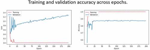 Figure 4. Validation loss and accuracy across epochs during the training process of AlexNet network with tuned hyperparameters.