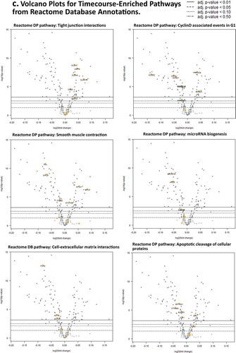 Figure 2. (Continued).