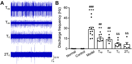 Figure 6 Changes of activity of WDR neurons after contralateral pre-EA with different intensities.