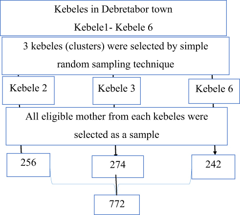 Figure 1 Schematic presentation of the sampling procedure for the study knowledge of mothers on neonatal danger signs and health-seeking practices and associated factors among women who gave birth in the last one year in Debretabor town, northwest Ethiopia 2019.