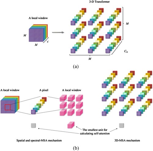Figure 5. Method for calculating the self-attention within a single window. (a) Extraction of the 3D transformer block self-attention features of all bands in a local window. (b) Spatial and spectral-MSA mechanism and 3D-MSA mechanism.