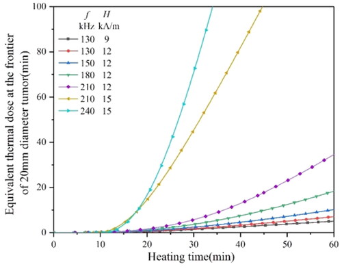 Figure 18. The equivalent thermal dose curves of a 20 mm diameter tumor heated by a 4 mm diameter material under different magnetic field conditions.