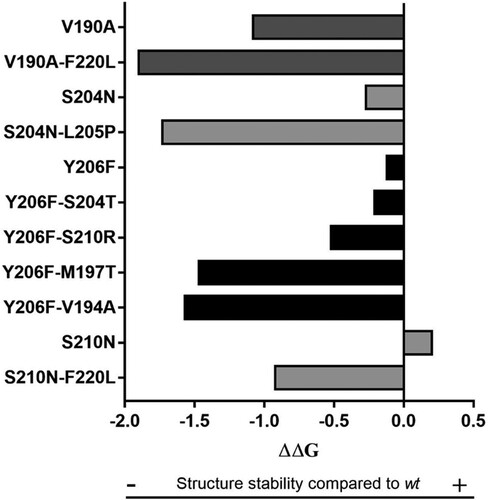 Figure 5. HBsAg structure stability in presence of C-terminus mutations associated with HBsAg <1,000IU/ml. The histogram shows the variation of HBsAg C-terminus stability in presence of mutations (single or in pairs) associated with lower HBsAg levels. HBsAg C-terminus stability was measured by calculating ΔΔG by STRUM (Quan et al., Bioinformatics, 2016). ΔΔG [wt-mutated] < 0 indicates a reduced stability in presence of the mutations.