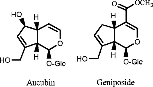 Figure 1 Chemical structure of aucubin and geniposide.
