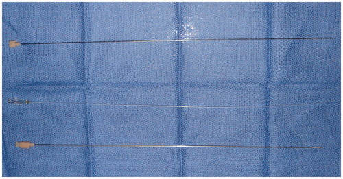 Figure 1. The Transmyometrial Embryo Transfer Catheter Set (Cook Medical, Spencer, IN, USA). From top to bottom: stylet, 2 French polyethylene embryo transfer catheter, 19-gauge echotipped needle.