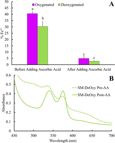 Figure 3. Effects of deoxygenation and resuspension with ascorbic acid on the oxidation levels (A) and absorbance spectra (B) of lyophilised samples that were stored at 40 °C for 2 months. Error bars indicate standard deviation. Letters indicate significantly different groups as determined by ANOVA (n = 12, p < 0.05).