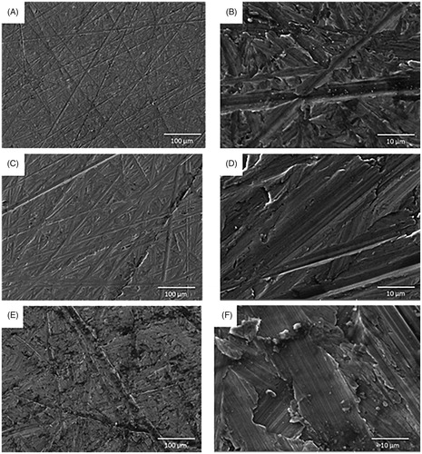 Figure 1. Scanning electron microscope (SEM) micrographs showing A&B) smooth, C&D) minimally rough and E&F) moderately rough titanium discs surface. Scale bar for images in A, C and E = 100 μm, Scale bar for images in B, D and F = 10 μm.