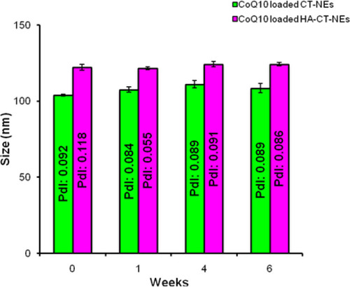 Figure 3 DLS analysis of CoQ10-loaded CT-NEs (green) and CoQ10-loaded HA-CT-NEs (purple) over time. Data are expressed as mean ± SD (n=3).Abbreviations: DLS, dynamic light scattering; CoQ10, Coenzyme Q10; O/W, oil in water; NEs: nanoemulsions; CT-NEs, chitosan-coated nanoemulsions; HA-CT NEs, hyaluronic acid and chitosan-coated nanoemulsions; PDI, polydispersity index.