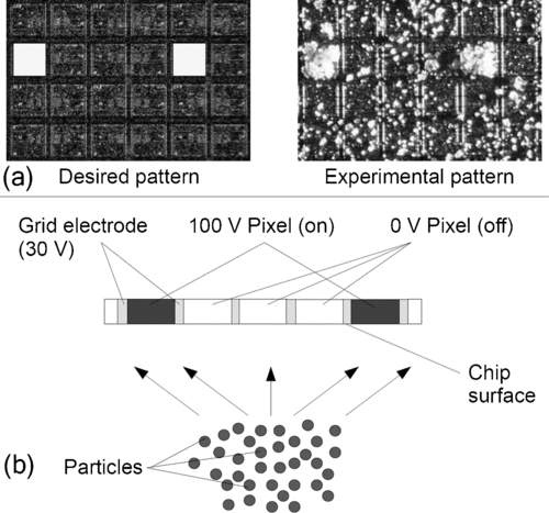 FIG. 6 Desired particle deposition pattern (a, left) and experimentally achieved pattern (a, right); (b) schematic of particle deposition on a chip; particles move towards the chip and are manipulated by electrical fields resulting from the voltage pattern on the chip surface to enable spatial defined particle deposition.