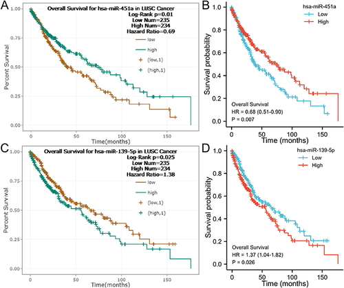 Figure 4 The relationship between miRNAs expression and OS using “starbase” and K-M. (A and C) Survival analysis using “starbase” tool; (B and D) Survival analysis using K-M.