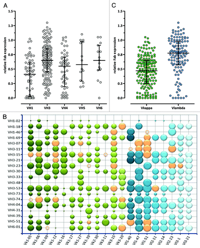 Figure 4. Relative expression levels of different VH/VL Fab pairs determined by ELISA. (A) VH, (B) VH/VL and (C) VL (Vκ: green, Vλ: blue) relative display rates are shown compared with an internal reference Fab VH/VL pair. In (A) and (C) the median with interquartile range is shown, in the bubble chart (B) the bubble area correlates with relative Fab expression. Orange bubbles and circles show the final selected 36 VH/VL pairs that are included in Ylanthia. The circles indicate VH/VL pairs that were not determined.