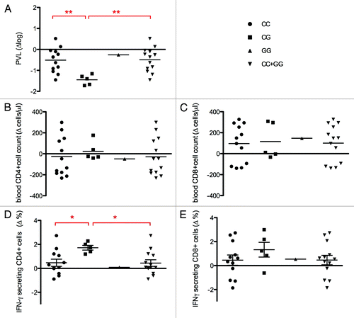 Figure 1. Plasma viral load (PVL) reduction and cellular response in 18 HIV+ patients who’s underwent DC-based immune treatment against HIV-1 according to PARD3B rs11884476 genotypes. Change in PVL expressed as log change (∆log), change in CD4+ and CD8+ cells counts (∆cells/µl) and change in percentage of CD4+ and CD8+ cells producing IFN-ϒ (∆%) are reported for the 18 HIV+ patients included in the phase I clinical trial of DC-based immune-therapyCitation3 classified according to PARD3B rs11884476 genotypes. The data, obtained from Lu et al.,Citation3 represent difference (∆) between values presented 1 y after immunization and before the starting of the trial. Individual data and media were reported. (A) Plasma viral load (PVL). Individual blood CD4+ (B) and CD8+ (C) cell counts. (D and E) Intracellular IFN-γ detection of T cells following stimulation with HIV-1-pulsed DC. Percentage of total CD4+ (D) or CD8+ (E) cell secreting IFN-γ is reported. T test analysis was performed between C/C and C/G groups and between C/C+G/G and C/G groups according to an over-dominant model. Being unique value the G/G has been excluded from the analysis. *P < 0.05; **P < 0.01.