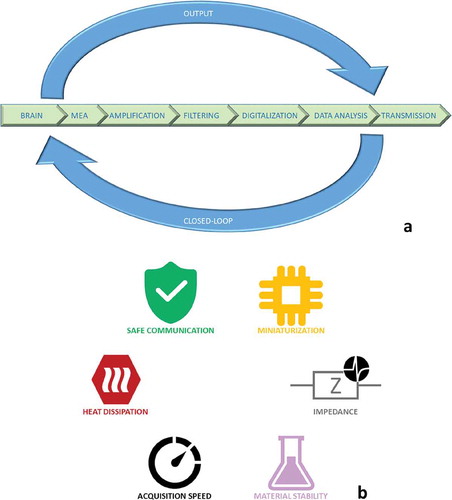 Figure 1. (a) A schematic representation of a neural interface divided in its main components; (b) some critical aspects to be considered for the designing of a performing neural interface.