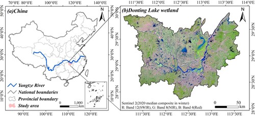 Figure 1. (a) Geographical location of the Dongting Lake wetland in China. (b) Sentinel-2 false color image of the Dongting Lake wetland collected and composited in the winter of 2020.