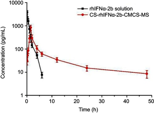 Figure 6 Drug concentration–time data following i.v. administration of the rhIFNα-2b solution and nanoporous microspheres in mice (n=3).Abbreviation: CS-rhIFNα-2b-CMCS-MS, chitosan rhIFNα-2b carboxymethyl chitosan nanoporous microspheres.