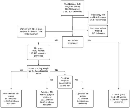 Figure 1. Flowchart of the study population. Data from the MBR were combined with data on the diagnosed TBI and TBI-related surgical operations in the Care Register for Health Care.