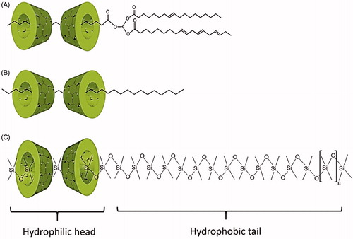 Figure 5. Illustrations of cyclodextrins orientation in dimers within the partial inclusion complex of (A) triglycerides in vegetable oils with α-CD, (B) linear saturated hydrocarbon chains in paraffin oils with α-CD and, (C) linear polydimethylsiloxanes in silicone oils with γ-CD.