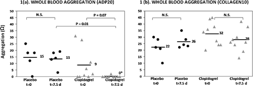 Figure 1. Dot plots of the amplitude of the whole blood aggregometry curve (expressed in Ohms), in response to 20 µM ADP (a) and 10 µg/ml collagen (b) in placebo and clopidogrel-treated cats (18.75 mg/cat q24h) with asymptomatic hypertrophic cardiomyopathy before (t = 0) and after (t = 7.5 days) drug treatment. Bars and adjacent numbers represent mean values.*Mean is not significantly different from baseline within the clopidogrel group (P = 0.07), but mean is significantly different between groups at t = 7.5 days (P = 0.01). ADP, adenosine diphosphate, N.S., not significant.