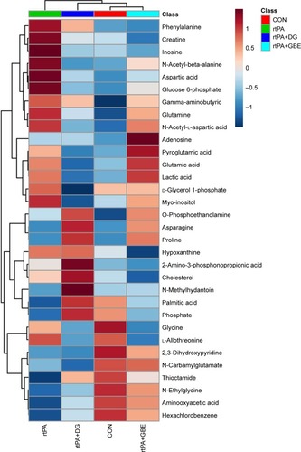 Figure 2 Heat map of the differential metabolites in the rat PFC for comparisons of rtPA vs CON, rtPA+DG vs rtPA, and rtPA+GBE vs rtPA.