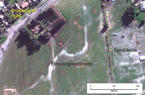 Figure 5. Liquefaction at Rawhiti, south of Halswell, September 2010. Damage includes cracking/lateral spread of the road, and sand boils and flooding (including sedimentation) in the paddocks (image GeoEye 04/09/2010; centre of view approximately 1564800, 5173000).