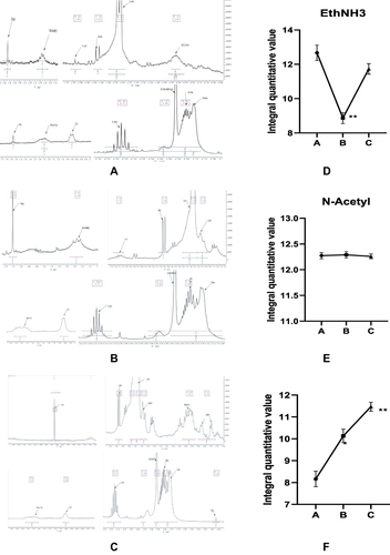 Figure 6 (A) Assignment of NMR 1H spectra of intervertebral discs in group A (B) NMR 1H spectra of intervertebral discs of rats in group B (C) NMR 1H spectra of intervertebral discs of rats in group C. (D) Integral quantitative value of EthNH3. (E) Integral quantitative value of N-Acetyl. (F) Integral quantitative value of Lactic acid.*P < 0.05,**P < 0.01.