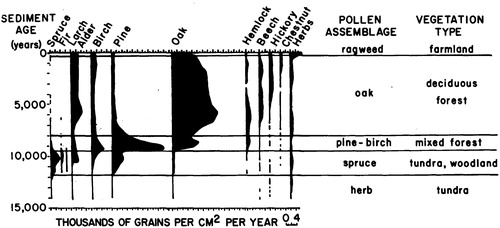 Figure 3  Pollen diagram from southern England with a 15,000-year timescale. Source: Davis (Citation1969, 325) (Published with permission by American Scientist.).